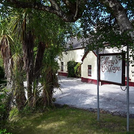 Mary'S Cottage Sneem Dış mekan fotoğraf
